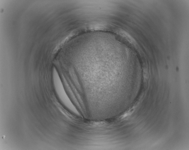 X0000073750401200608311940