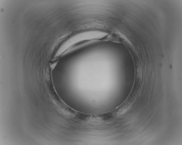 X0000073750403200608311940