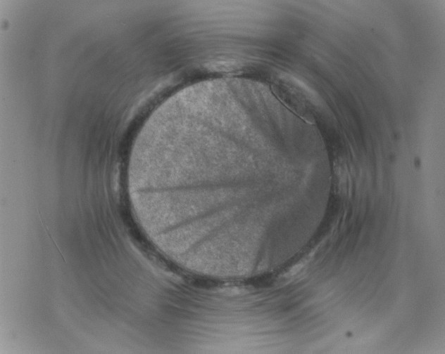 X0000073750404200608311940