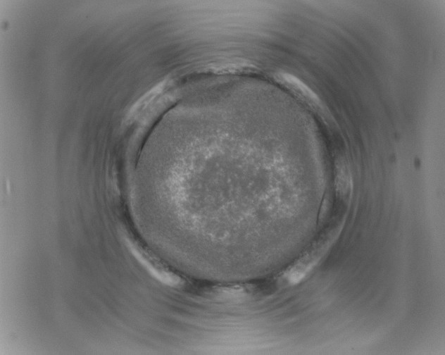 X0000073750405200608311940