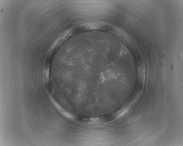 X0000073750406200608311940