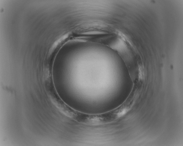 X0000073750407200608311940