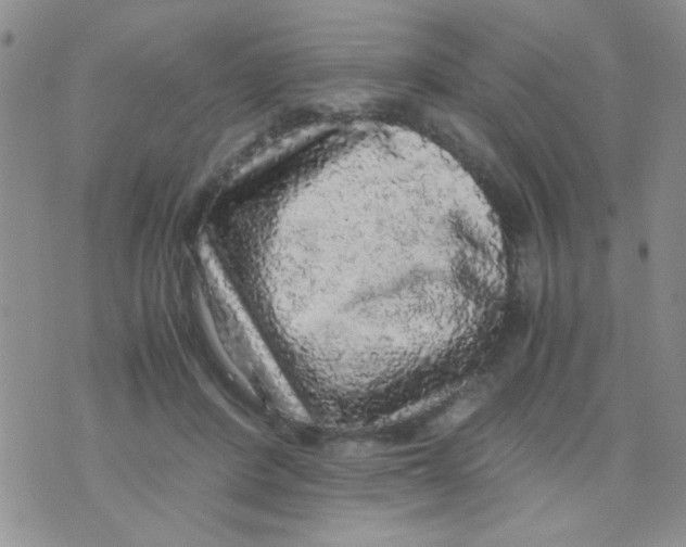 X0000073750408200608311940