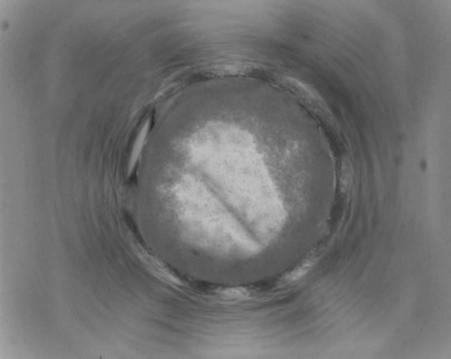 X0000073750409200608311940