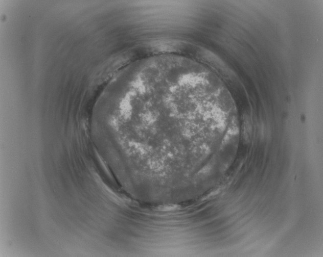 X0000073750410200608311940