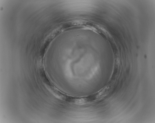 X0000073750411200608311940