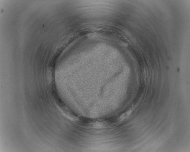 X0000073750412200608311940