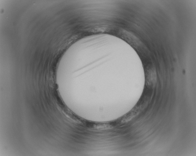 X0000073750414200608311940