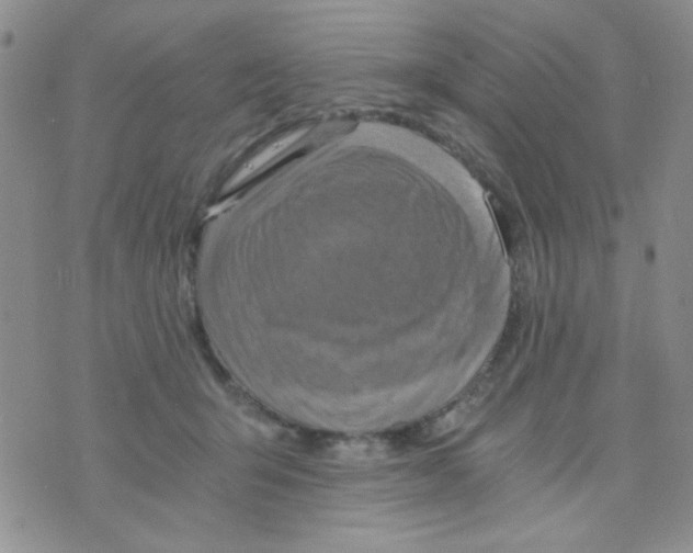 X0000073750415200608311940