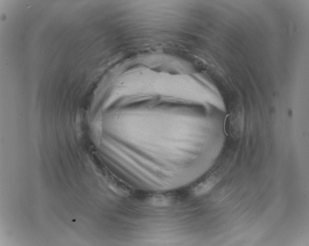 X0000073750416200608311940