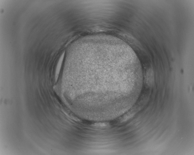 X0000073750418200608311940