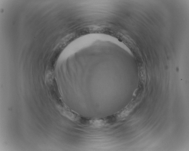 X0000073750419200608311940