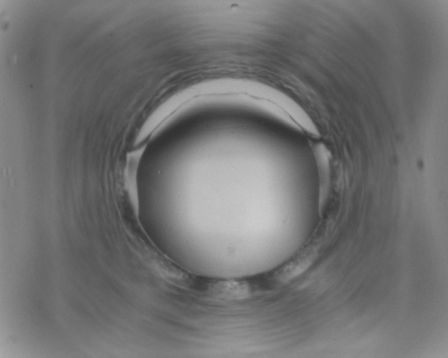 X0000073750421200608311940