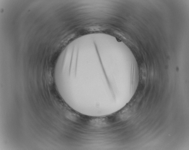 X0000073750422200608311940