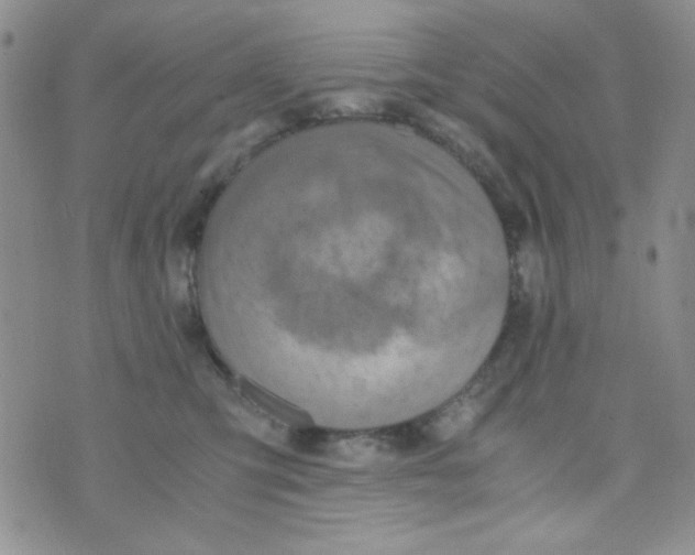 X0000073750423200608311940