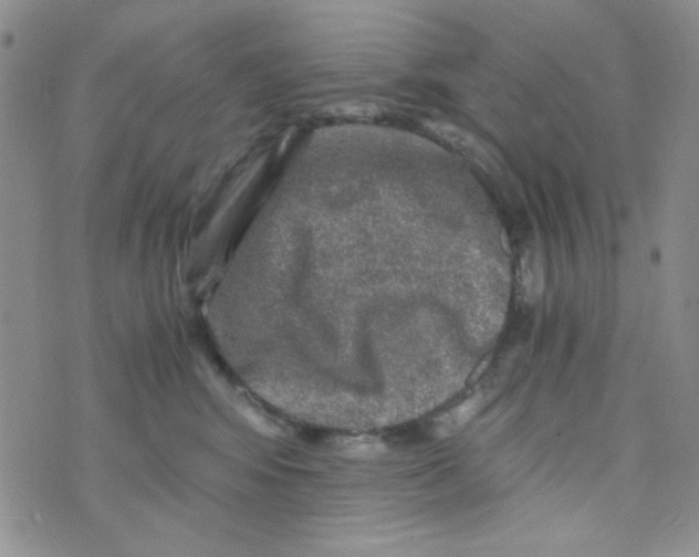 X0000073750424200608311940