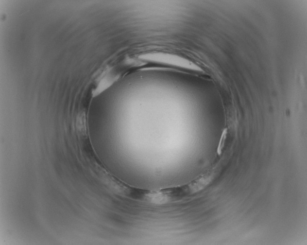 X0000073750425200608311940