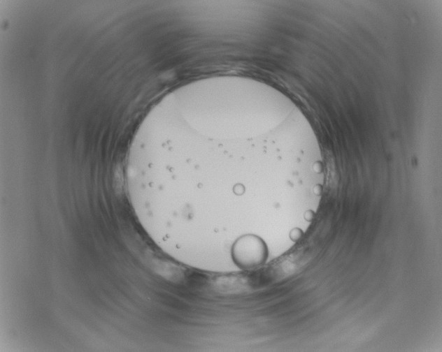 X0000073750426200608311940