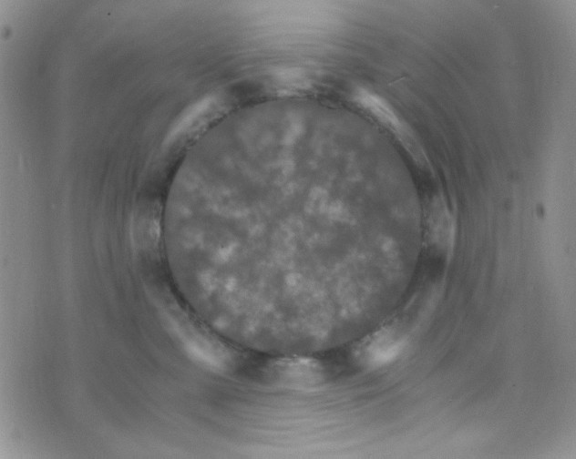 X0000073750427200608311940