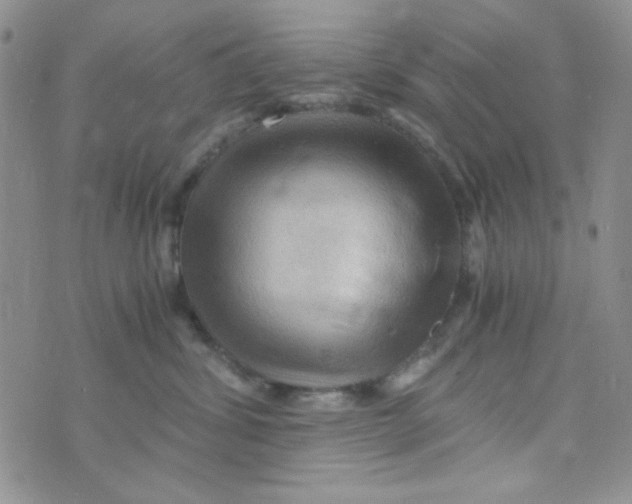 X0000073750428200608311940