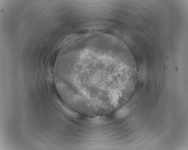 X0000073750430200608311940