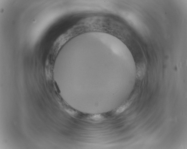 X0000073750431200608311940