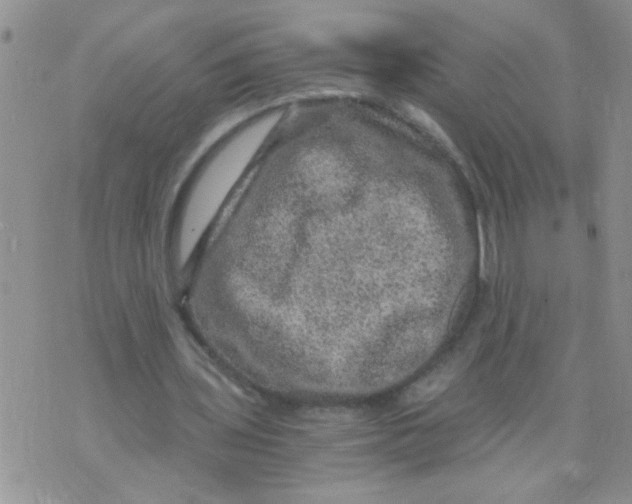 X0000073750435200608311939