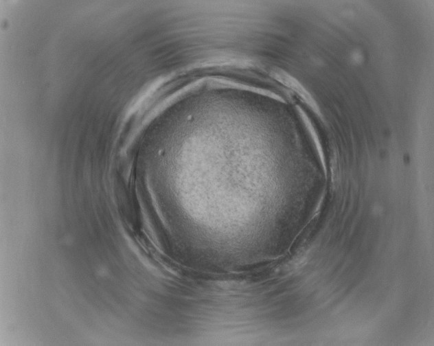 X0000073750436200608311939