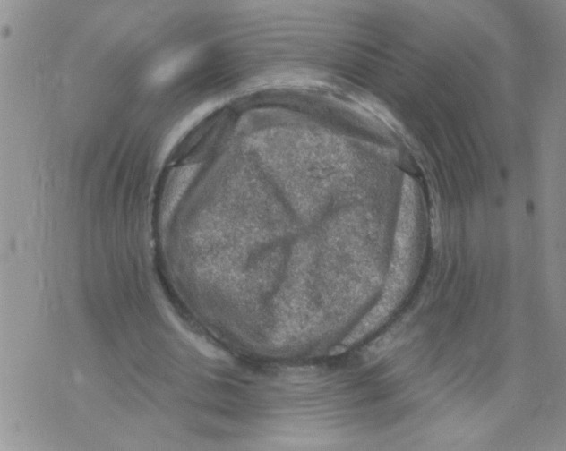 X0000073750438200608311939