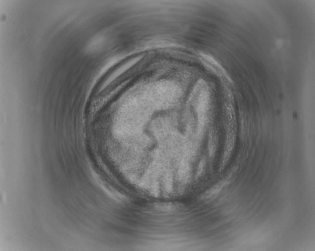 X0000073750439200608311939