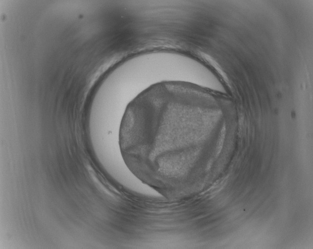 X0000073750443200608311939