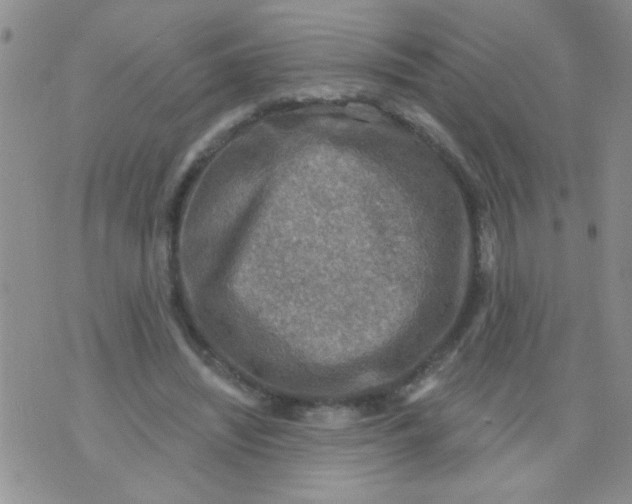 X0000073750444200608311939