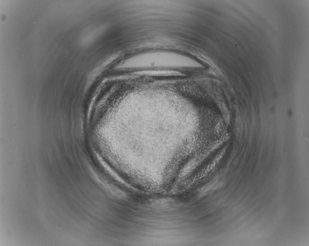 X0000073750446200608311939