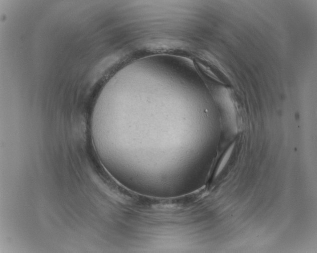 X0000073750448200608311939