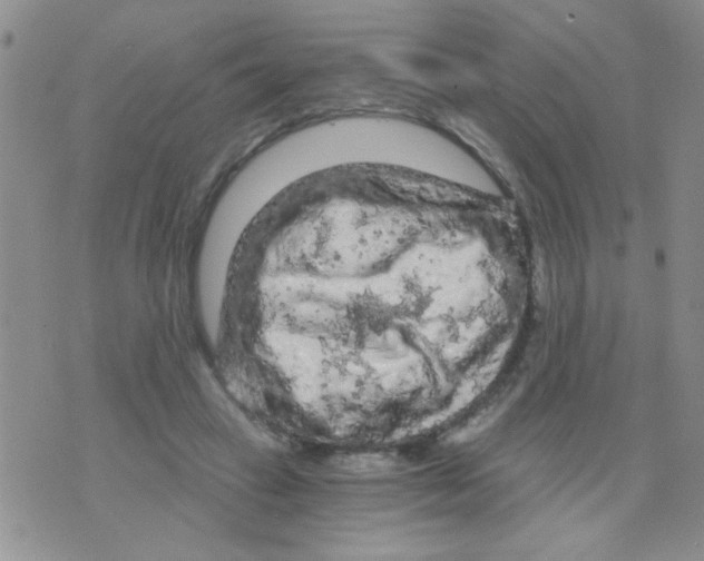 X0000073750449200608311939