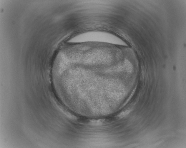 X0000073750450200608311939