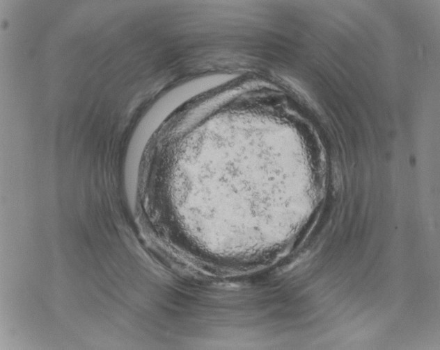 X0000073750453200608311939