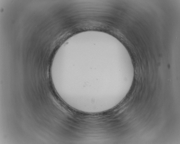 X0000073750454200608311939