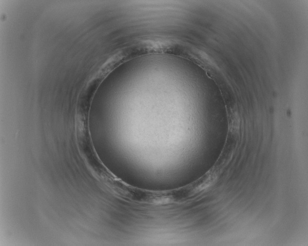 X0000073750456200608311939