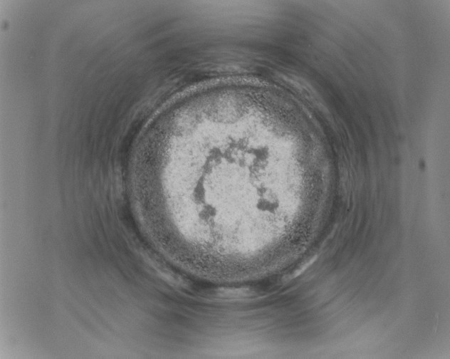 X0000073750457200608311939