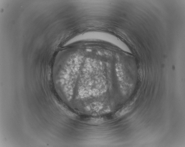 X0000073750458200608311939