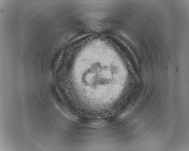 X0000073750459200608311939