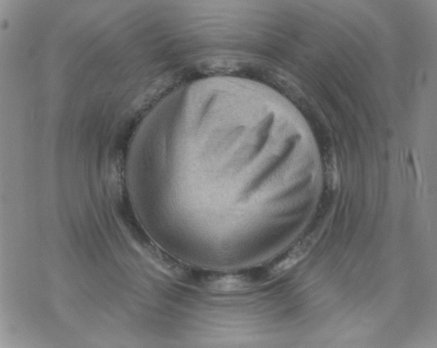 X0000073750460200608311939