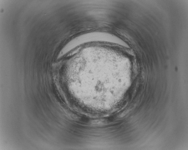 X0000073750461200608311939