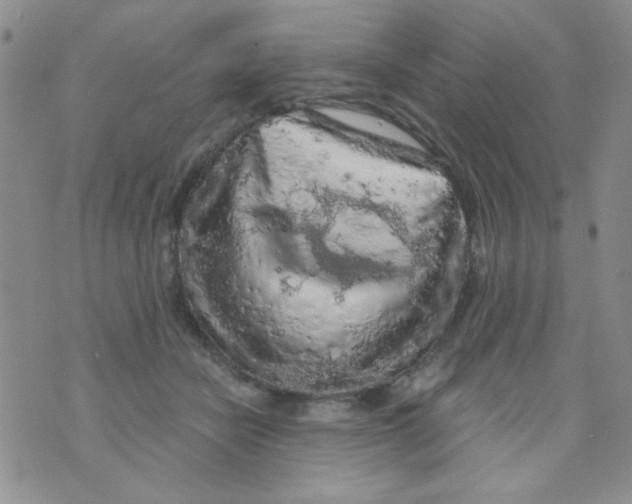 X0000073750462200608311939