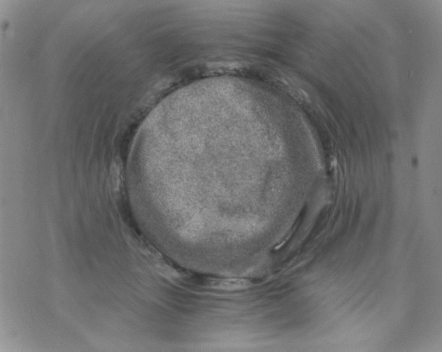 X0000073750463200608311939