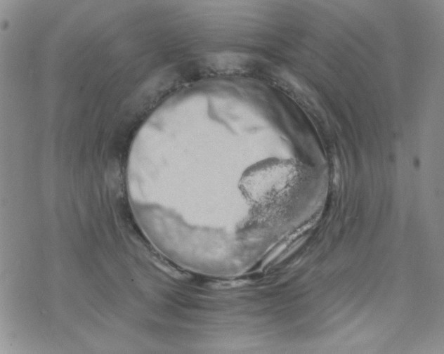 X0000073750465200608311939