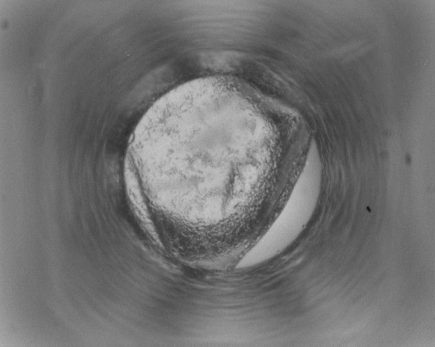 X0000073750466200608311939