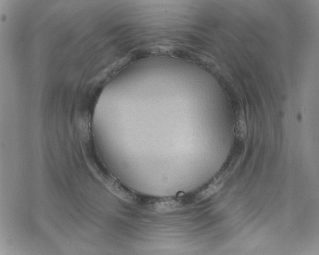 X0000073750468200608311939