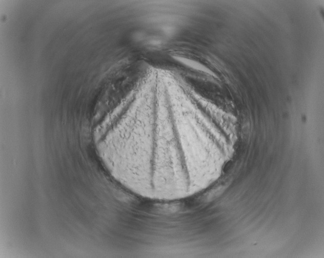 X0000073750469200608311939